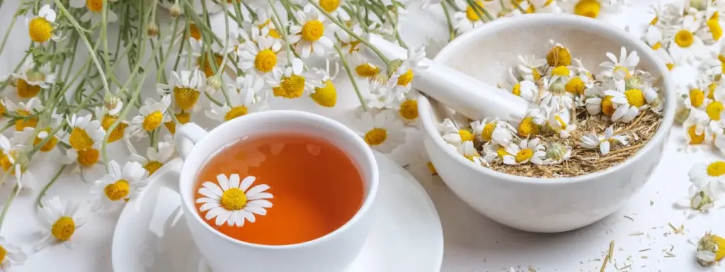 Chamomile