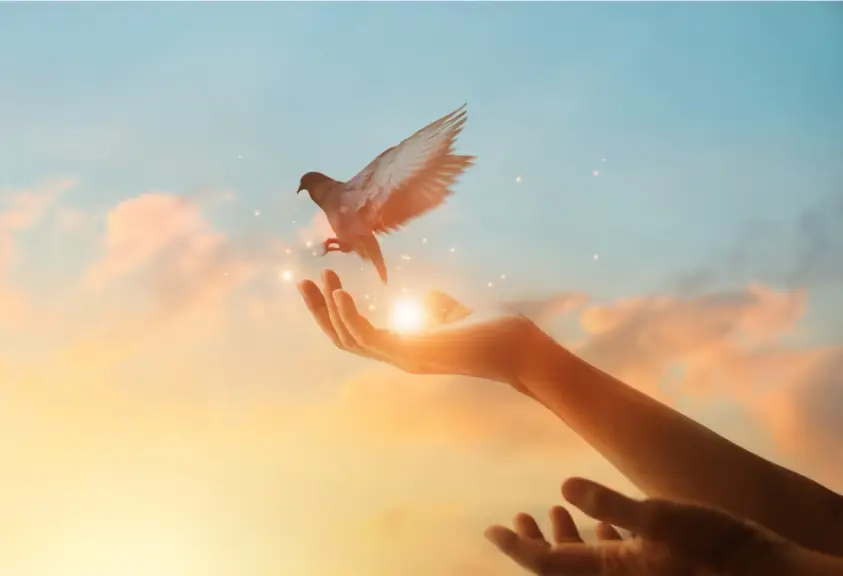 A dove released from open hands, symbolizing freedom and hope